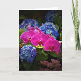 蘭、カード カード