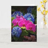 蘭、カード カード (黄色い花)