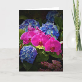 蘭、カード カード