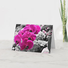 蘭、カード カード