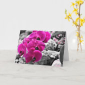 蘭、カード カード (黄色い花)