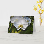 蘭、カード カード (黄色い花)