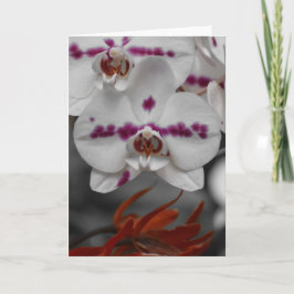 蘭、カード カード