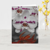 蘭、カード カード (黄色い花)