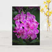 蘭、カード カード (黄色い花)