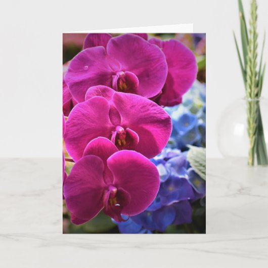 蘭、カード カード (正面)