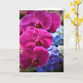 蘭、カード カード (黄色い花)