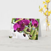 蘭、カード カード (黄色い花)