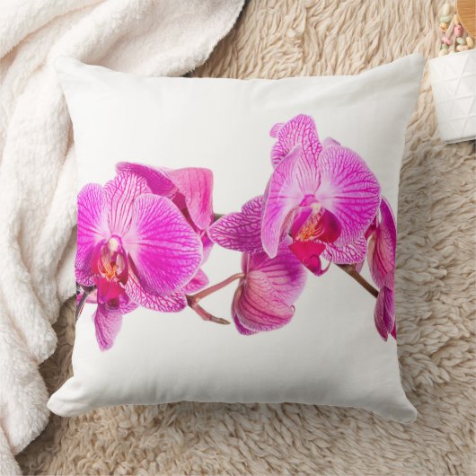 蘭 クッション (ブランケット)