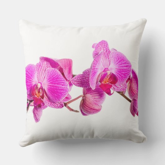 蘭 クッション (裏面)