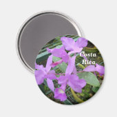 蘭 – コスタリカの国花 マグネット (正面/裏面)
