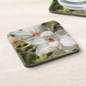 蘭 コースター (左側)