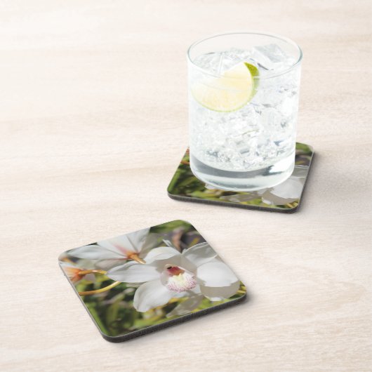 蘭 コースター (右側)