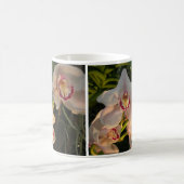 蘭 コーヒーマグカップ (中央)