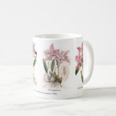 蘭 コーヒーマグカップ (正面右)