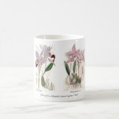 蘭 コーヒーマグカップ (中央)