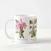 蘭 コーヒーマグカップ (左)