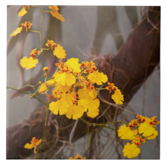 蘭 – ゴールデンモーニング タイル (正面)