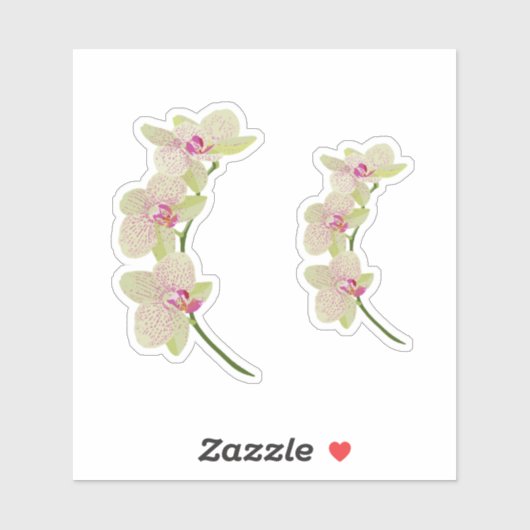 蘭 シール (シート)