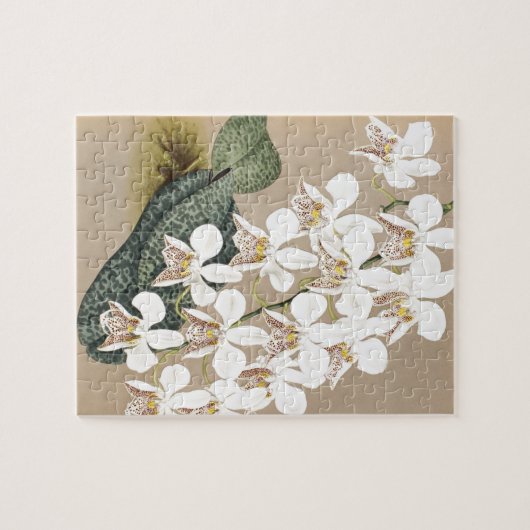 蘭 ジグソーパズル (横)