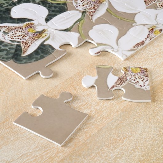 蘭 ジグソーパズル (側面)