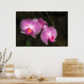 蘭 – セットの中で良い ポスター (キッチン)