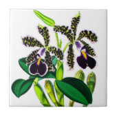 蘭 タイル (正面)