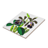 蘭 タイル (側面)