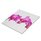 蘭 タイル (側面)