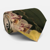 蘭 ネクタイ (ロール)