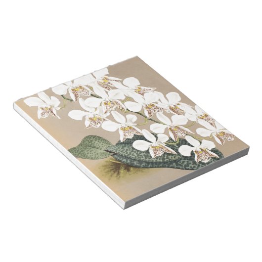 蘭 ノートパッド (アングル)