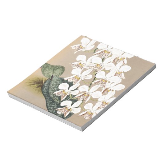 蘭 ノートパッド (回転)