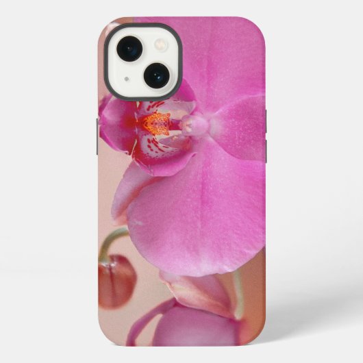 蘭、ピンク、花 iPhoneケース (裏面)
