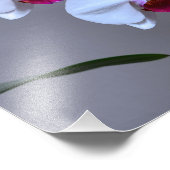 蘭 フォトプリント            (角)