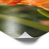 蘭 フォトプリント            (角)