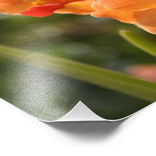 蘭 フォトプリント            (角)