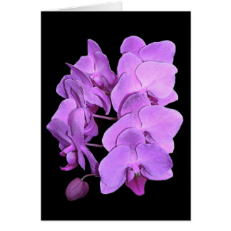 蘭(フレスコ画のスタイル)