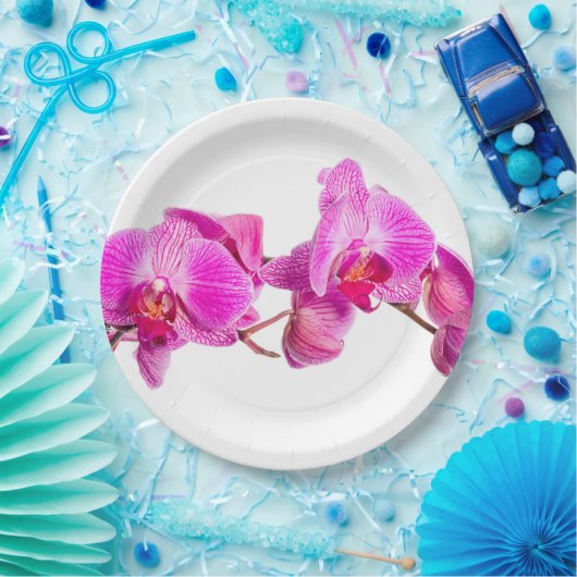 蘭 ペーパープレート (パーティー)