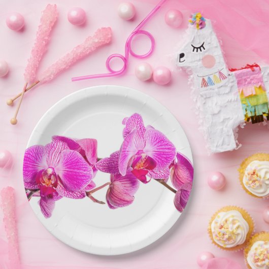 蘭 ペーパープレート (パーティー)
