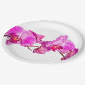 蘭 ペーパープレート (アングル)