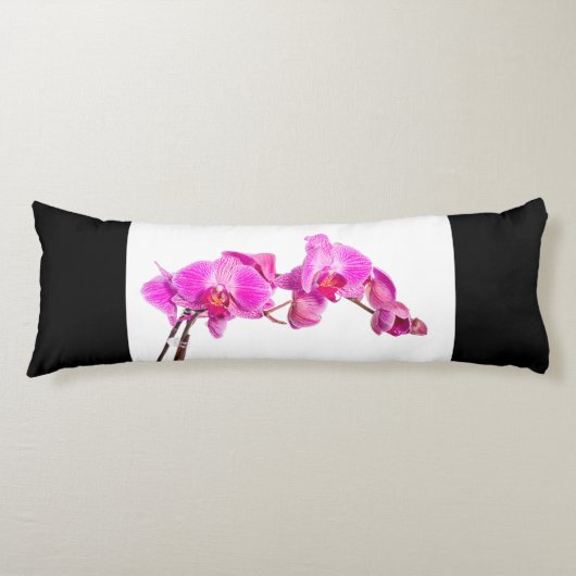 蘭 ボディピロー (正面)