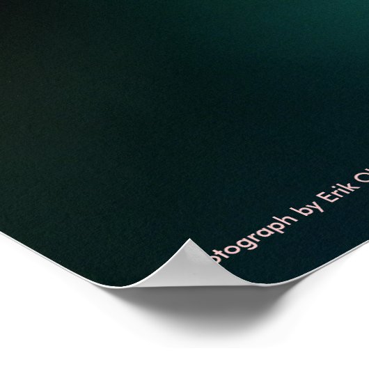 蘭 ポスター (角)