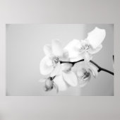 蘭 ポスター (正面)