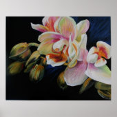 蘭 ポスター (正面)