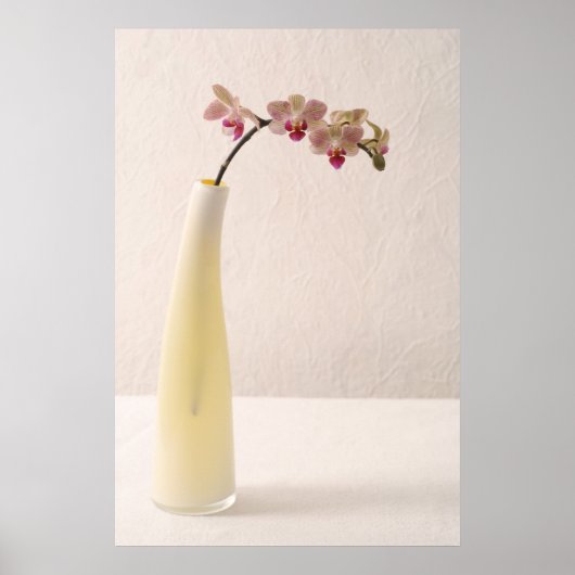 蘭 ポスター (正面)