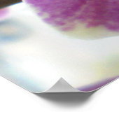 蘭 ポスター (角)