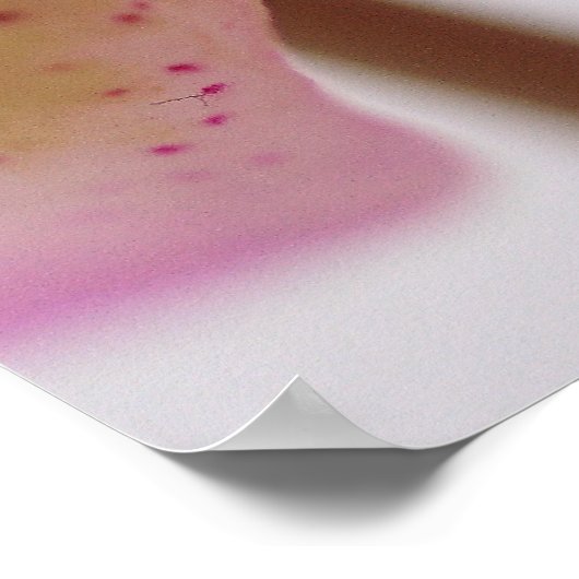 蘭 ポスター (角)