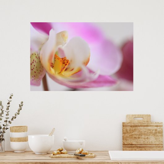 蘭 ポスター (キッチン)