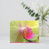 蘭 ポストカード (スタンド正面)