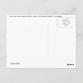 蘭 ポストカード (裏面)